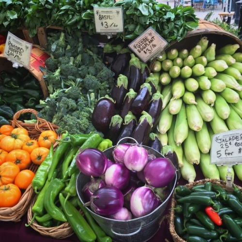 Hot damn, it’s pepper season My favorites are these Japanese shishitos (pictured in the middle