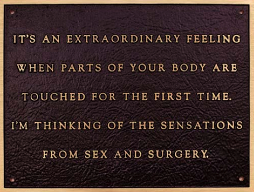 torianu:The Plaque SeriesThe concept art of Jenny Holzer.