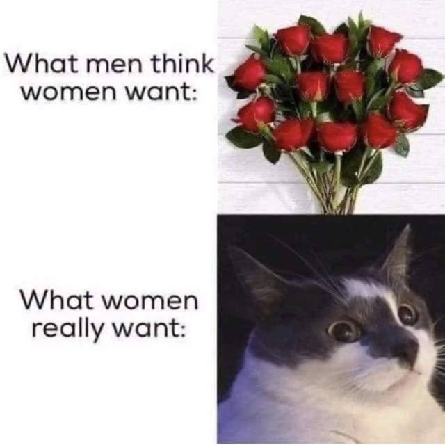 https://64.media.tumblr.com/cad11121fc12710e1a637e8941af08b4/91c89a3581c68eac-68/s640x960/6000912fd4107b539c38114c6d99b444876f06a8.jpg