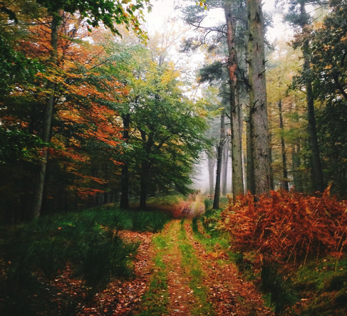 jacindaelena:Daniel Casson