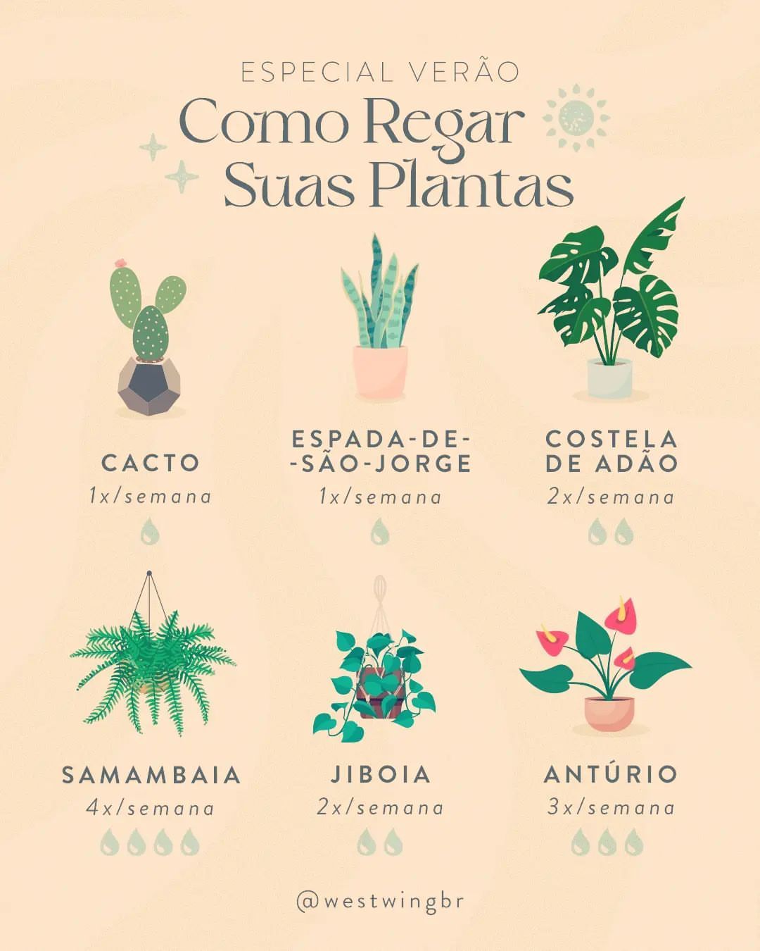 Vem aprender!
Dica boa a gente compartilha ❤️
Você sabe a frequência para rega das suas plantas?
Reposted from @westwingbr Aproveitando que o verão está chegando, deixamos aqui algumas dicas para manter as suas verdinhas sempre lindas! 🌱 É importante...