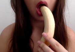 thathornyvirgingirl:let me suck your cock