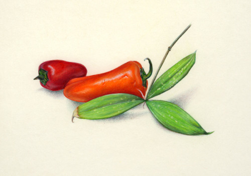 Peppers and Leaves Prismacolor