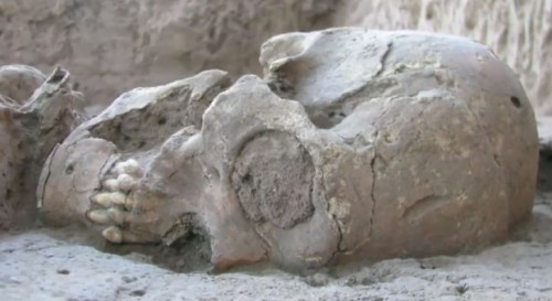 sixpenceee:Archaeologists in Mexico have uncovered 25 “alien” looking human skulls. The bones are ab