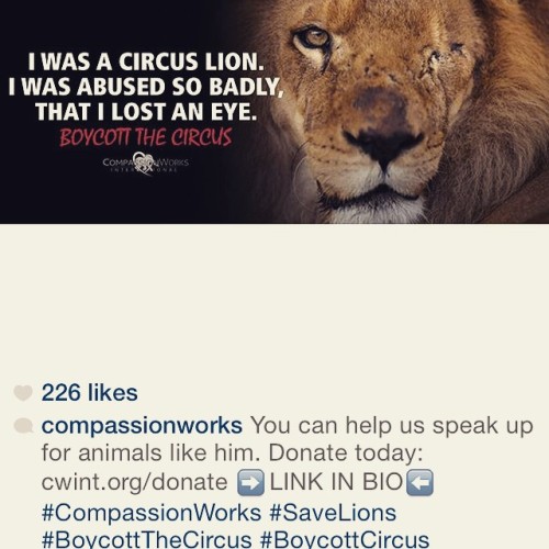 Follow this. And boycott the circus. These animals were not brought onto this earth to be enslaved a
