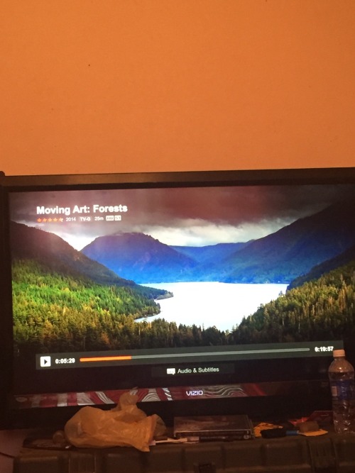 So I was watching animal shows on Netflix and this show which is just video of forests with no words automatically starts playing and I’m looking at it within seconds going that looks like here…. And then I see Lake Crescent and the road