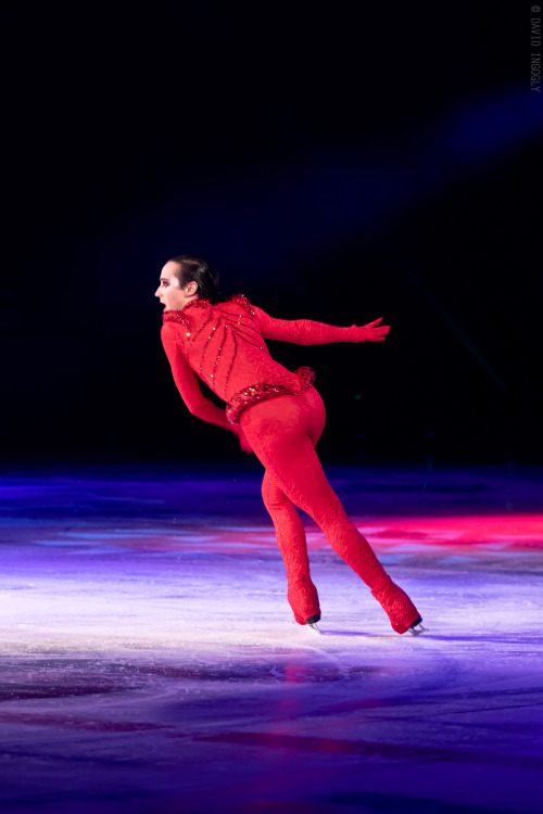 Gallery: ’Tis the Season… | Binky’s @JohnnyGWeir Blog http://binxblog.com/1RCkGto. Gorgeous a