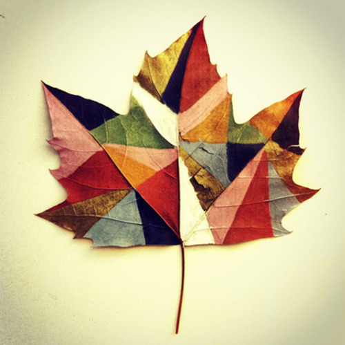 Autumn is approaching and that means fallen leaves. Brazilian artist Gabee Meyer uses leav