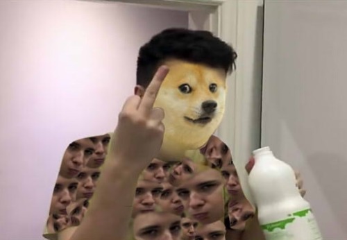 in an alternate universe where doge is flipping off while wearing dan shirt and drinking bleach.