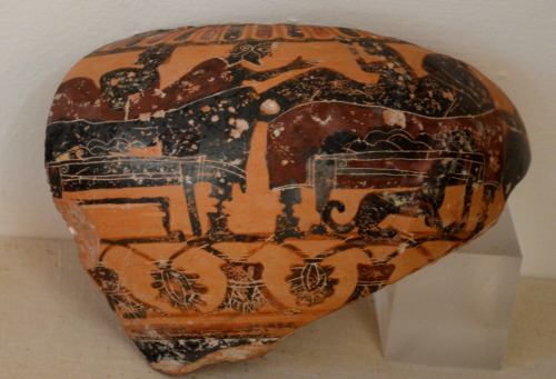greek-museums:Archaeological Museum of Aegina, Kolona:Potsherds found at cemeteries, black-figure at