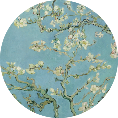 detailedart:Blossoming Van Gogh (1853-1890)