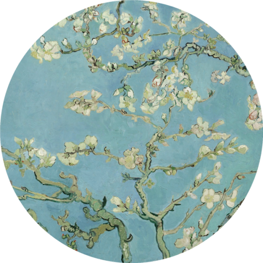 Blossoming Van Gogh (1853-1890)