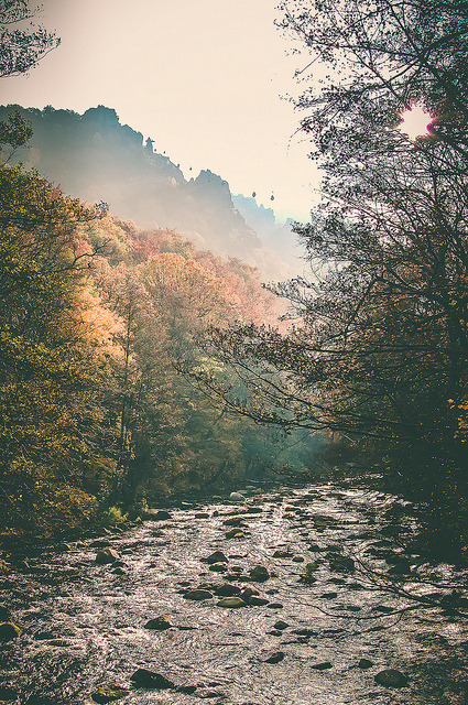 brutalgeneration:  Down by the river by {Quantumcat} on Flickr.