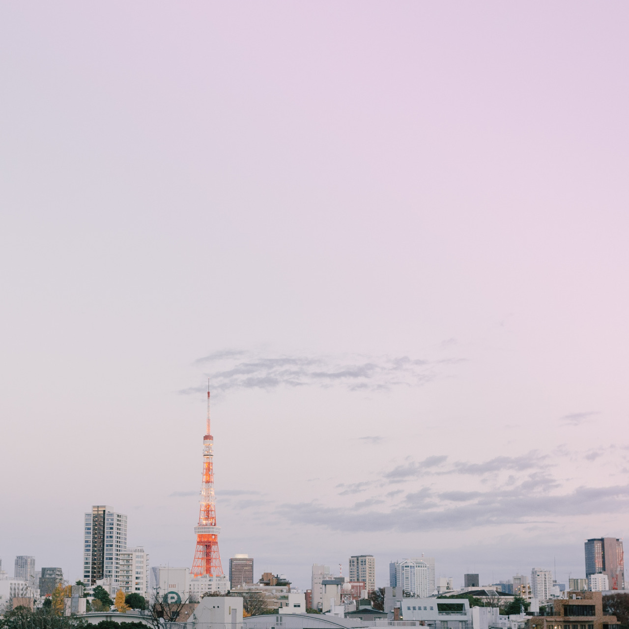 griffinsimm:  Tokyo (2014) 