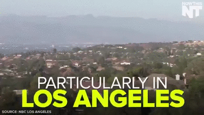 4mysquad:    The whole thing was rigged!    Some California voters ran into issues during the state’s primary…  only to Bernie supporters cus that makes sense  