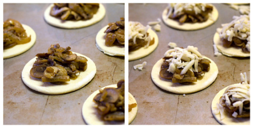 Sex foodffs:  Caramelized Onion, Mushroom & pictures