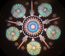 infinity-imagined:  Artistic microscope slides