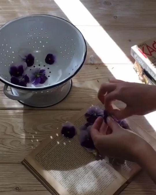 too-hot-to-hoot:Pressing fresh-cut flowers and some of the things you can do with