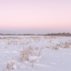 jeanpolfus:  Niven Lake, Yellowknife, Northwest Territories, Canada.   