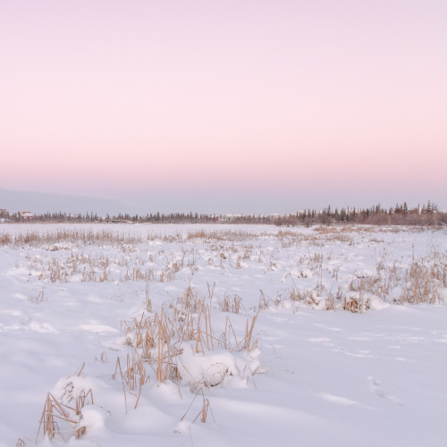 jeanpolfus:Niven Lake, Yellowknife, Northwest Territories, Canada.