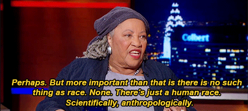 2brwngrls:   kyssthis16:  archatlas:  The Colbert Report 11.19.14  You see how she