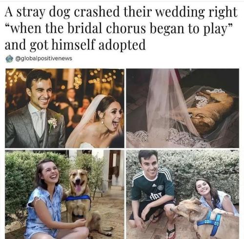 Wholesome weeding crash via /r/MadeMeSmile Click here and follow to get more daily positivity on you
