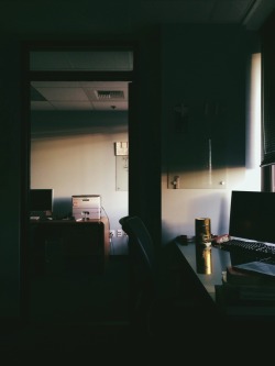 Lonely day in the office.