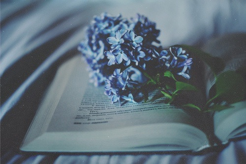 ~Free~