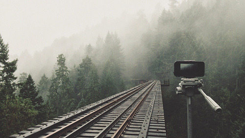 givncvrlos:  by Tyler Forest-Hauser
