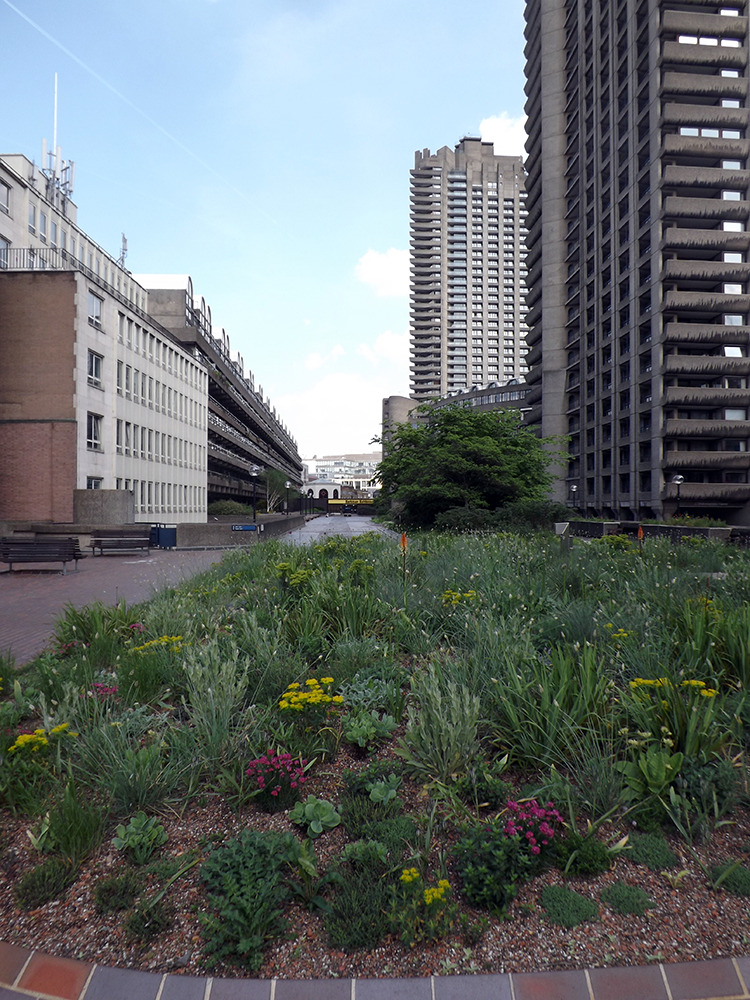 The Barbican