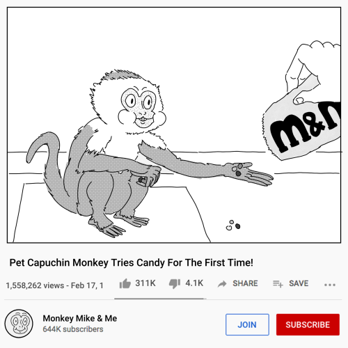 Viral Monkey Content