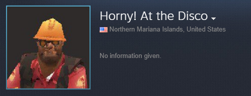 deja-moo: deja-moo: ive done it, ive made my profile the worst profile on steam 