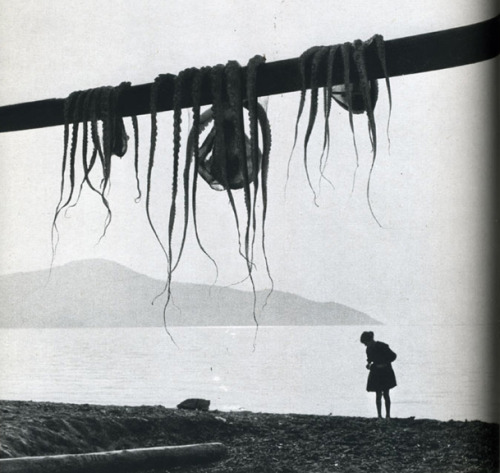 the-night-picture-collector:Hiroshi Watanabe, Octopus