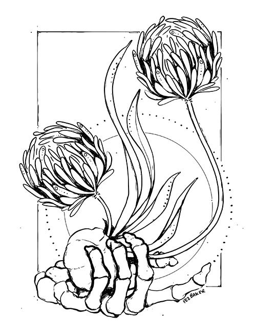 finalising some book illustrations, henbane and garlic