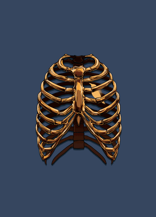 gaksdesigns:  Caged.