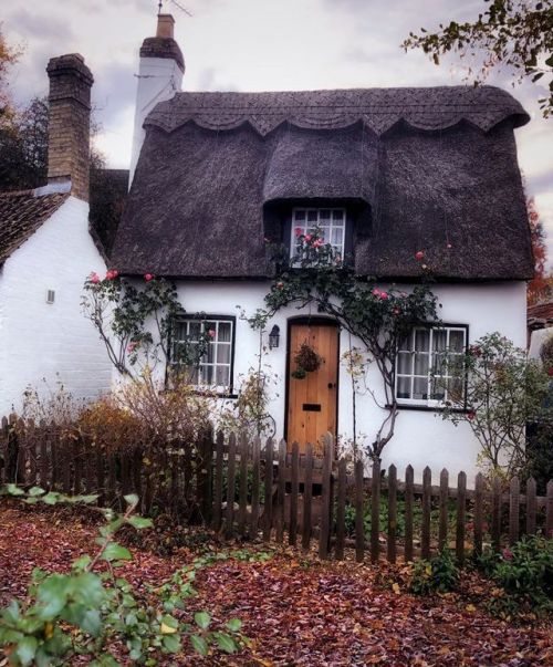 bookofoctober: Bourn, Cambridgeshire, England. Photo by lensereflection