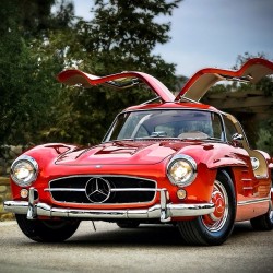 drivingbenzes:  Mercedes-Benz 300SL  Mercedes-Benz 300 SL