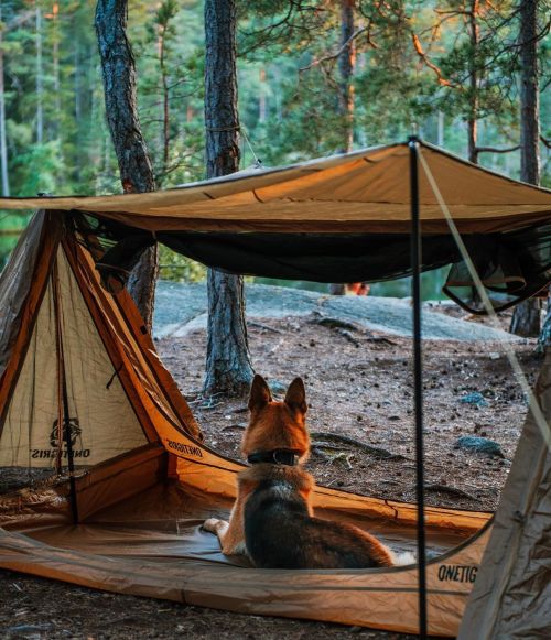 "Have you ever gone camping with your dog? It’s one of our favorite things to do in our f