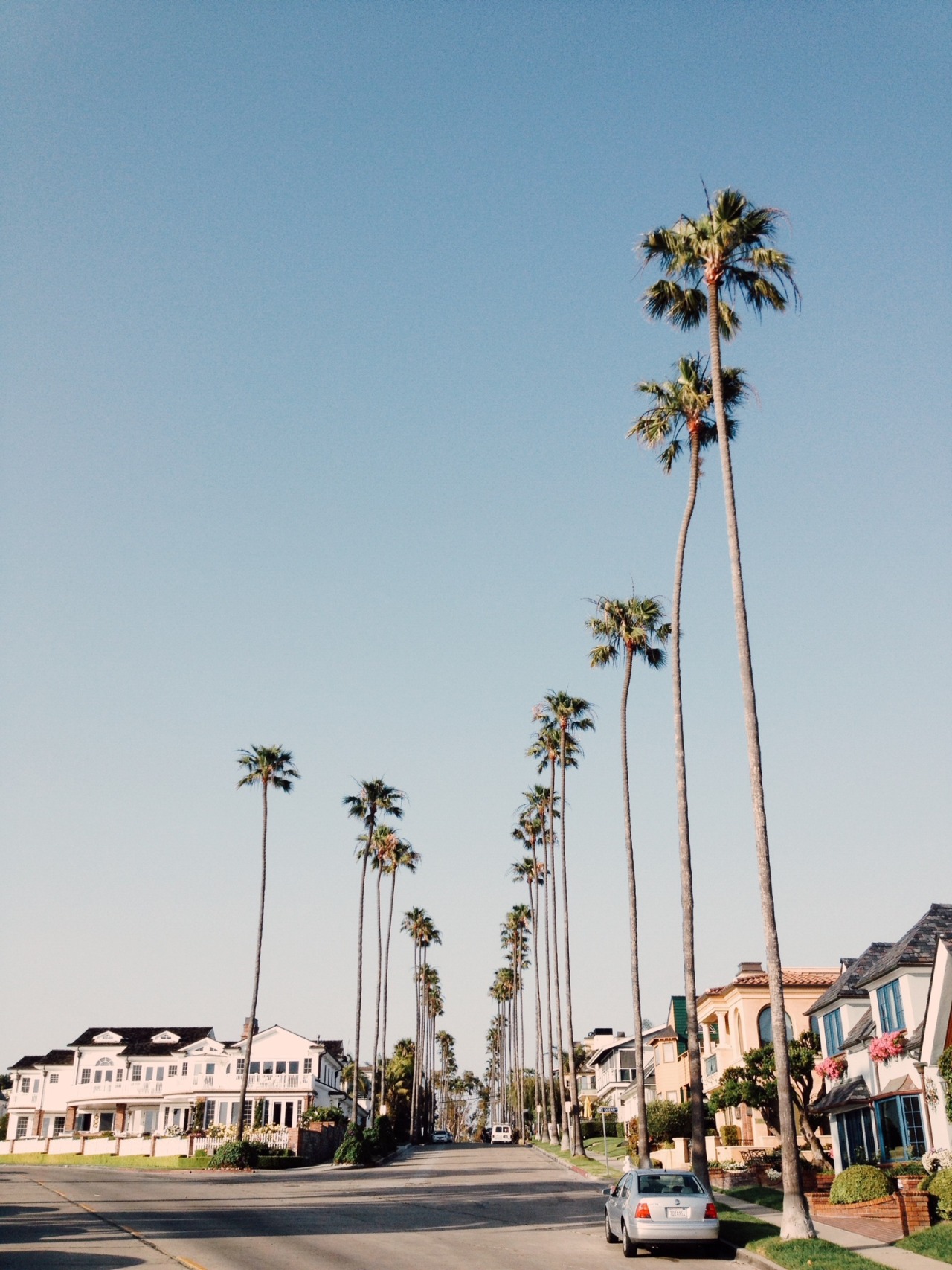 sassafranski:  favorite street