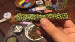 veraisastoner:  thesarathing:  veraisastoner:  Friday blunt at home appreciation post ✨   Vera, come roll me a blunt please 🙏  Would absolutely love too