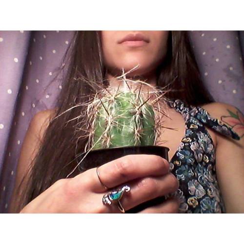 ▫ Old man cactus  ▫▫▫▫▫▫▫▫▫▫▫▫▫▫▫▫▫▫▫▫ #cactus #spacebabies #greenbabies #ladygreen #cactusthailand 