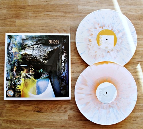 guldsevinyl:  Pelican - Forever Becoming 2xLP /500 white with baby blue and Halloween orange splatte