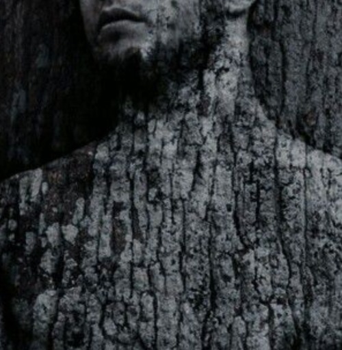 PEETA MELLARK AS A VAMPIRE WITH A CAMOUFLAGE GIFT