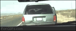☼ ☼ ☼ ☼ ☼ ☼ ☼ ☼