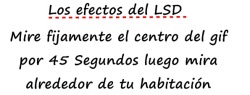 baltikatia-2:  puta-mierda-de-vida:  pequitascopitas:  nolopuedoevitar:  no-me-gusta-usar-sosten:  dont-let-me-be-your-enemy:  danielacarolinaa:  una-buena-muchacha:   cattaoezy:   ladistancia-nopuede-con-nosotros:   franciscacyrus:   *___* Es Hermoso