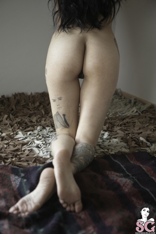 thedarksideofgruff:  Hollyberry