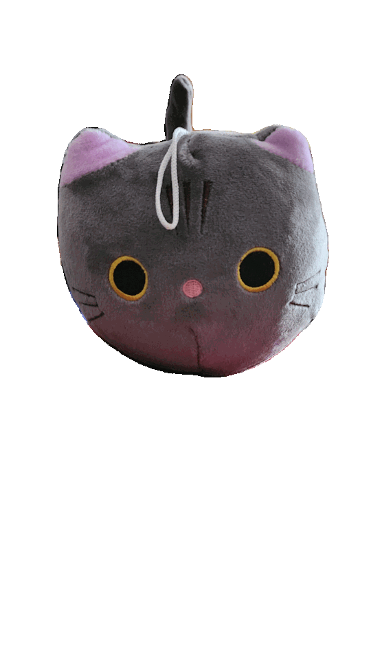 Got New Plushie Today. Meet Pjotr.
