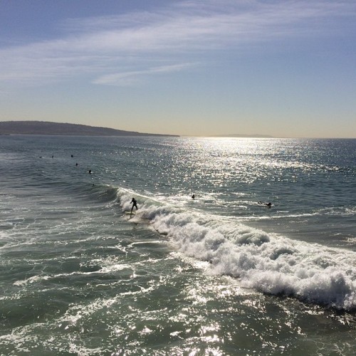 at Manhattan Beach Pier