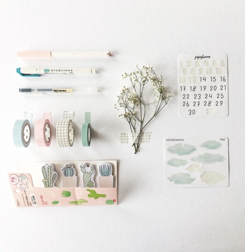 hwangmyeons:May ☁️ week 19 Am I aesthetic yet?!?!? Got my pastel, grid, cacti and baby’s breath game