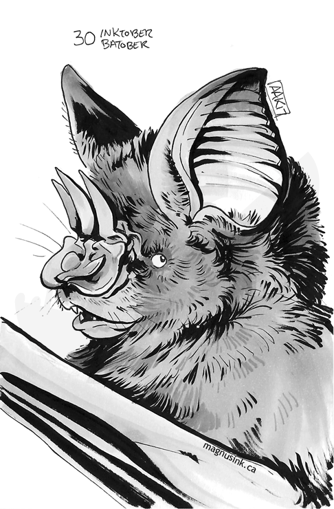 weremagnus: The last five scans from my inktober/batober drawings last month! Species